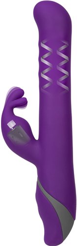 Swan | Commotion Samba : Plum [brand:swan/img-03.jpg]