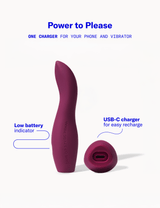 Dame | Dip Classic Vibrator : Plum [brand:dame/img-04.png]