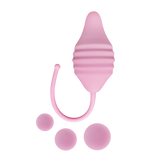 Femintimate Pelvix [brand:femintimate/img-03.png]